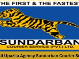 Amtoli Upazila Sundarban Courier Service