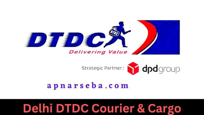 Delhi DTDC Courier & Cargo
