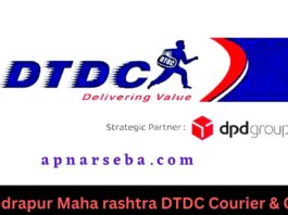 Chandrapur Maha rashtra DTDC Courier & Cargo