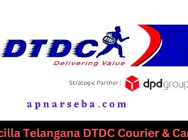 Sircilla Telangana DTDC Courier & Cargo
