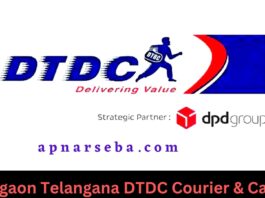 Jangaon Telangana DTDC Courier & Cargo
