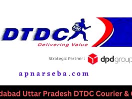 Moradabad Uttar Pradesh DTDC Courier & Cargo